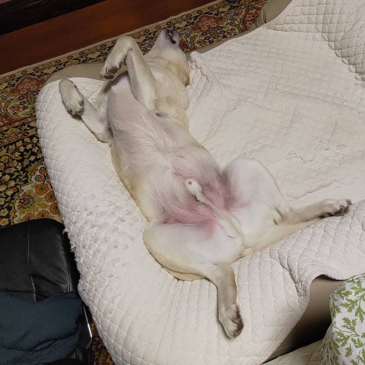 76817c25 387d 454d 81be ae9a20848bde 1687188596762