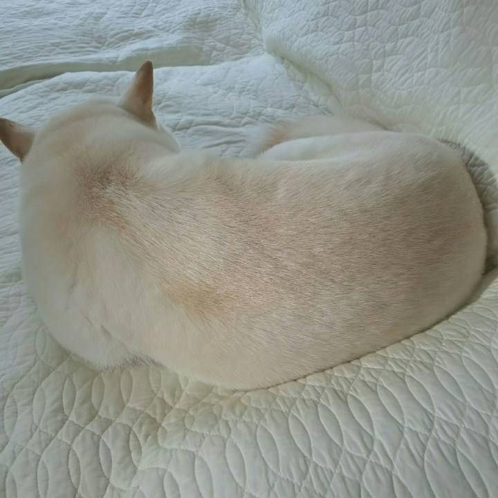 768189be a47d 40d0 aa41 d1fb96947257 1570235799099