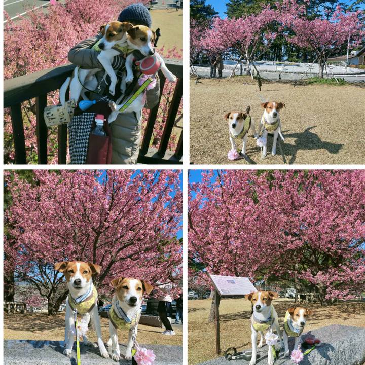 76819554 9394 4e28 b31d 19d5989eabef 1769252904510