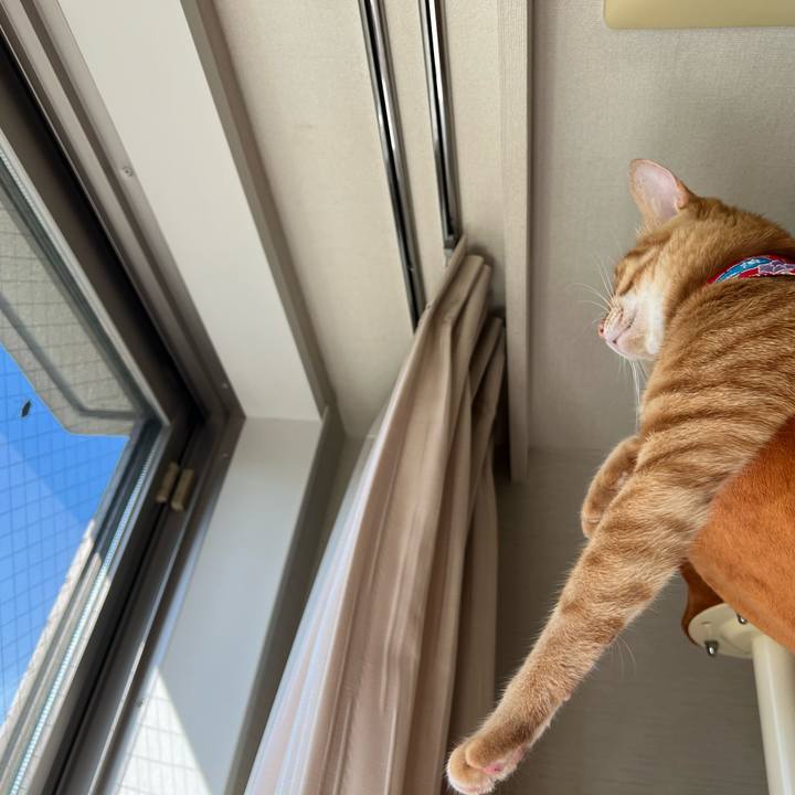 7681aa23 a5ca 4ba8 82b4 2b3bc924d38b 1695696794674