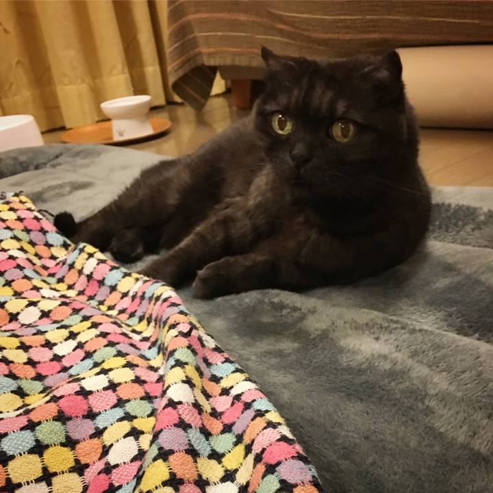 7681e941 1720 4b58 89df 4ef6fbd7db08 1548264660897