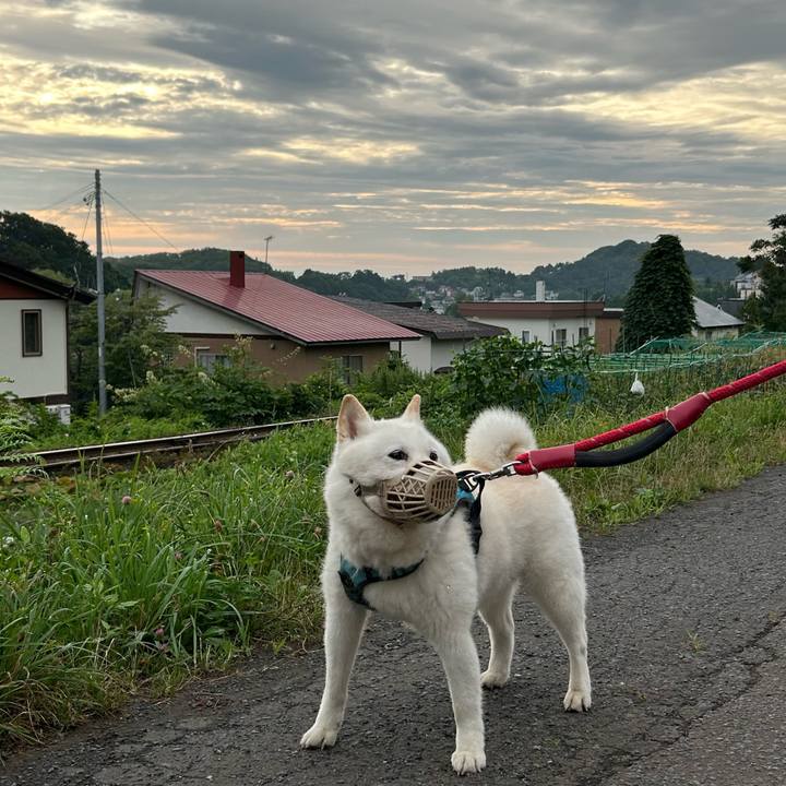 7681f127 4ebf 4b73 9311 debd58c42b36 1753655278660