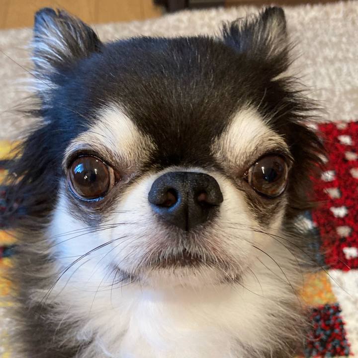 7682114c 5b3f 47ad 8577 e48d168a22e7 1719705509102