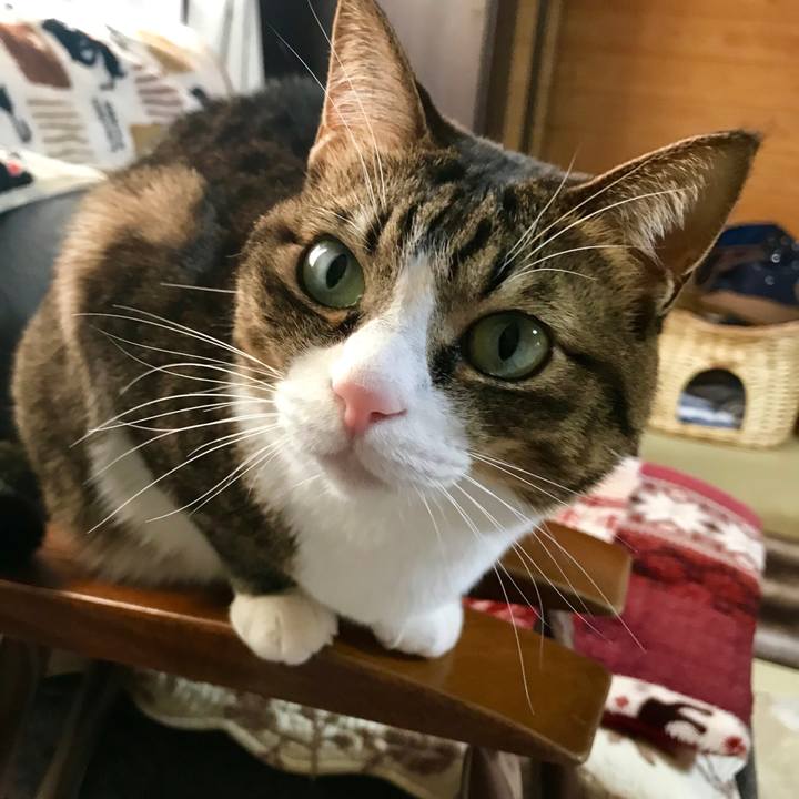 76826f31 b119 406e 8216 7a65c8e2ae15 1548057997624