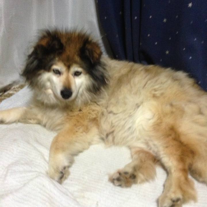 76828177 f552 4971 b5a3 e79f4b8be425 1637112089085