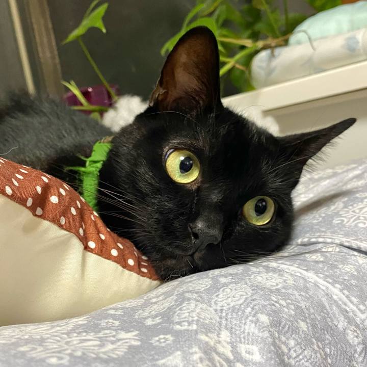 76829366 d865 45c3 9c06 941583e13887 1729950203807