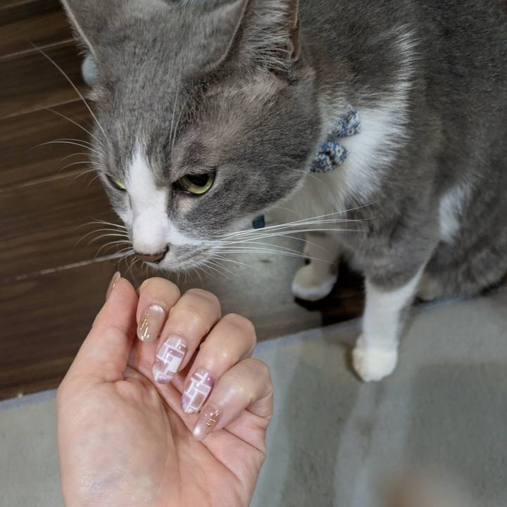 7682b10b e43e 4b0f b8dc 612f37f018f2 1757682333010