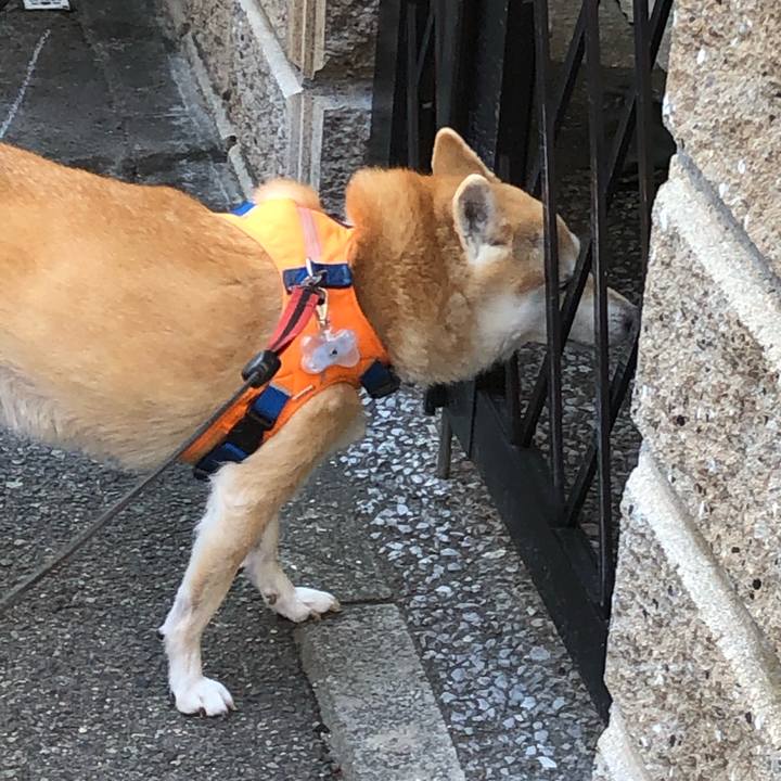 7682d80e 3cbf 4478 b6d3 e13058429315 1576822229600