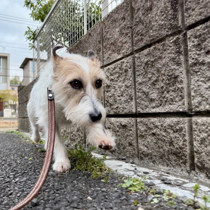 768319d9 14b2 45ed acf3 78b982ef5d63 1773831581792