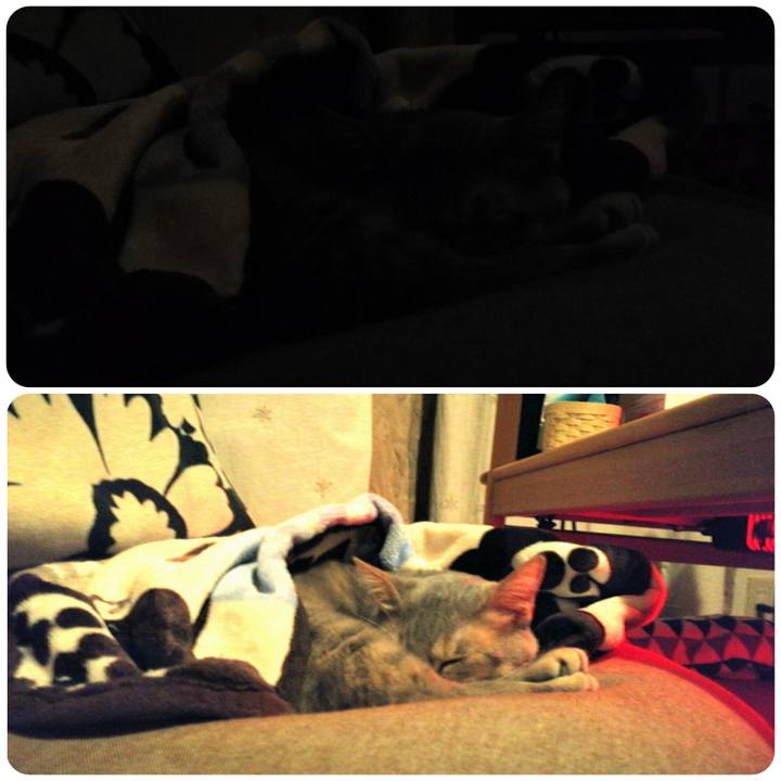 76834ade ef35 47e3 b409 fe353f3a60d7 1554084611775