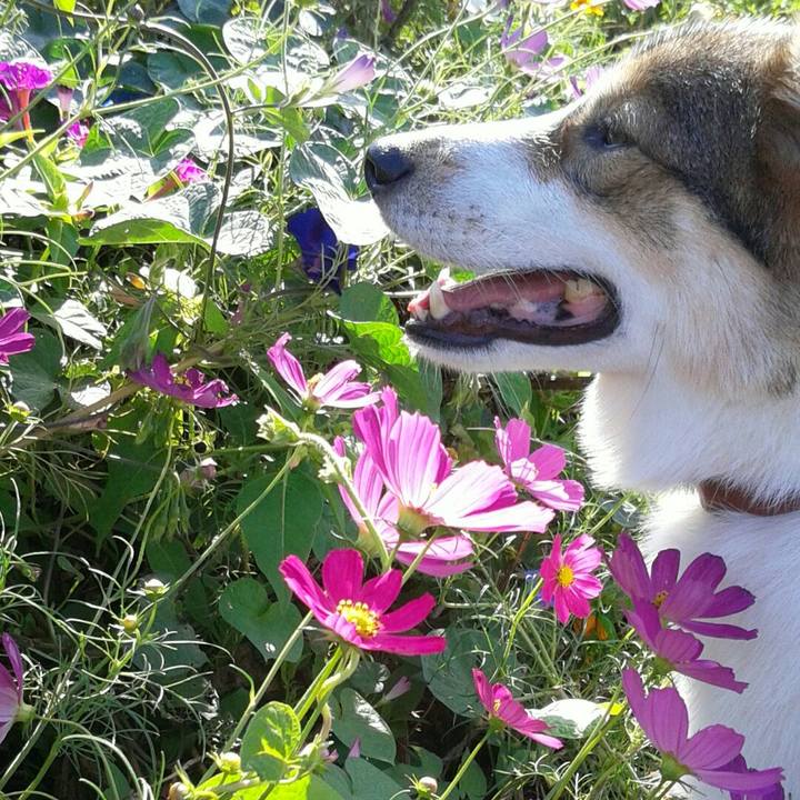 76839d9e 32bc 44ea 802d c94b0e653fb3 1573103544784