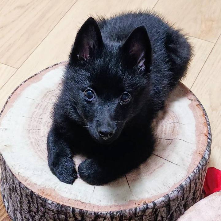 7683a569 ae26 4c01 aa35 6b36839a17e9 1748954033789