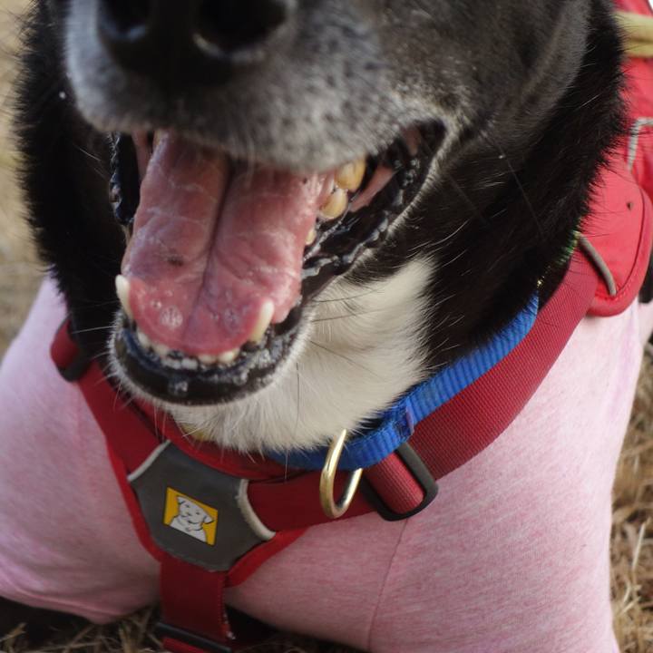 768409a8 220a 4e33 a87c 64ca37658998 1672189098904