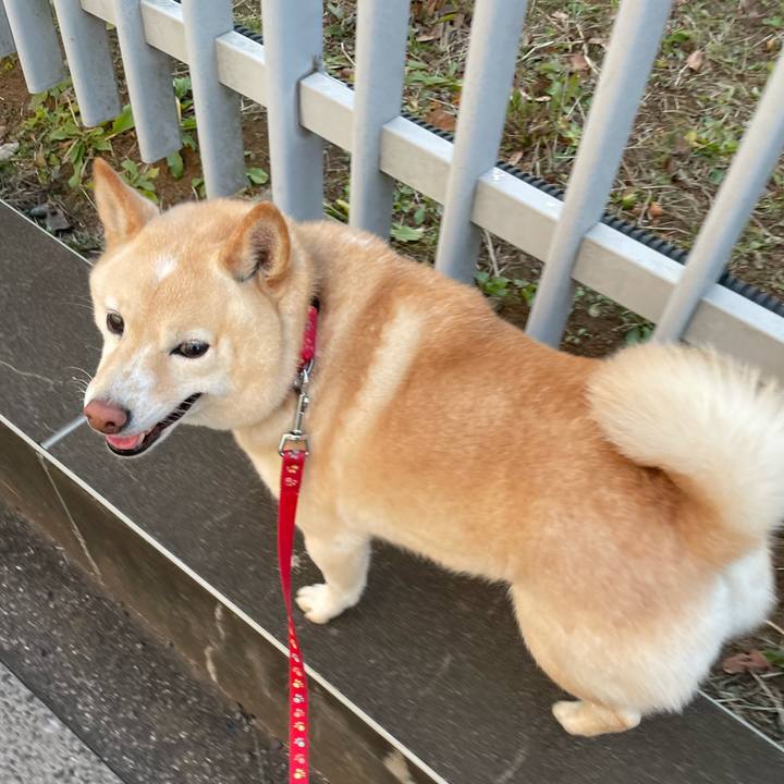 76841393 001e 42e2 834d 856018f92e14 1739360050173