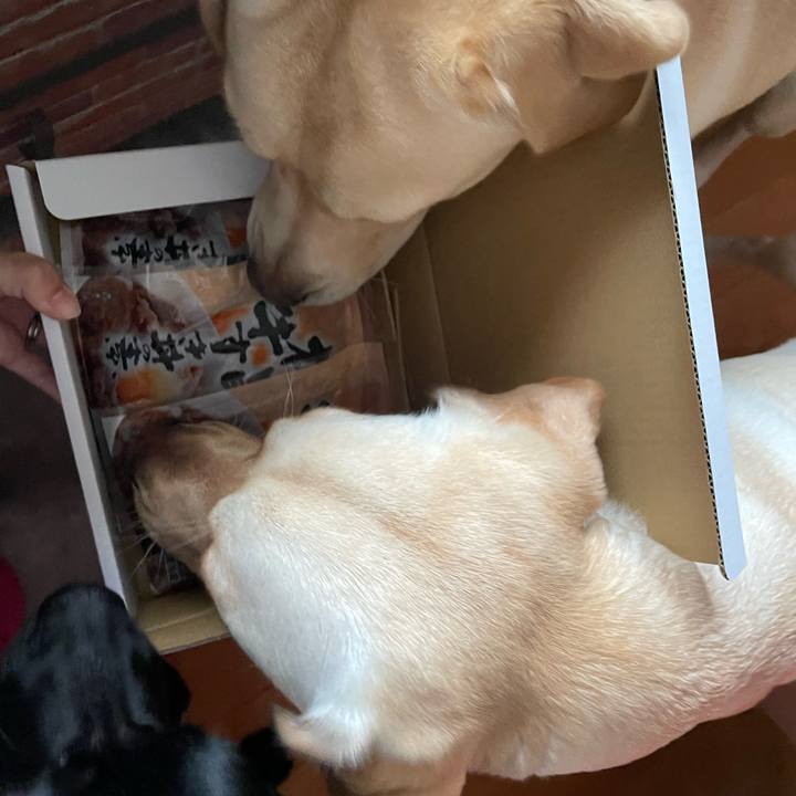 768417fc 9099 4746 8051 4f1c5376d864 1670724501387