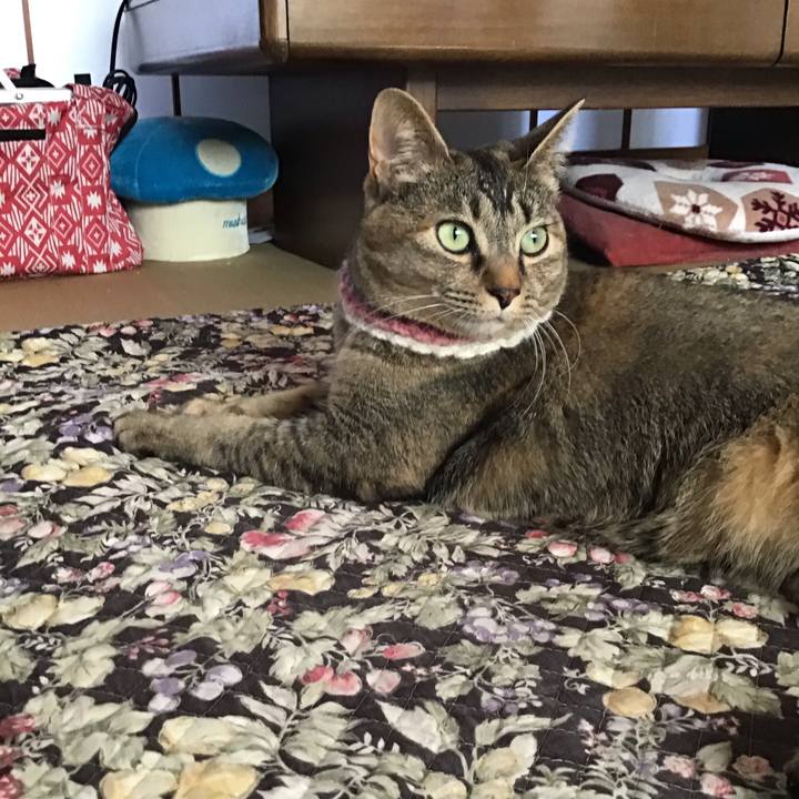 76842920 921b 4e92 9ddc 6db32a9d6caa 1618794886804