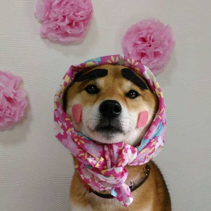 76842c4a 2dbd 49ea aa0a 04b1b2eab338 1521086982238