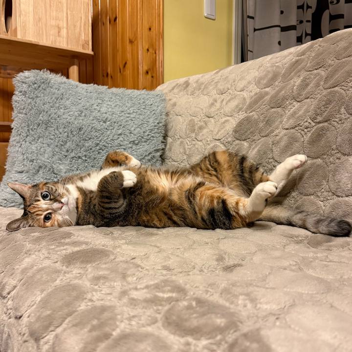 76844b9c 4cb8 4ee3 86b1 c49df8df434a 1772622196563