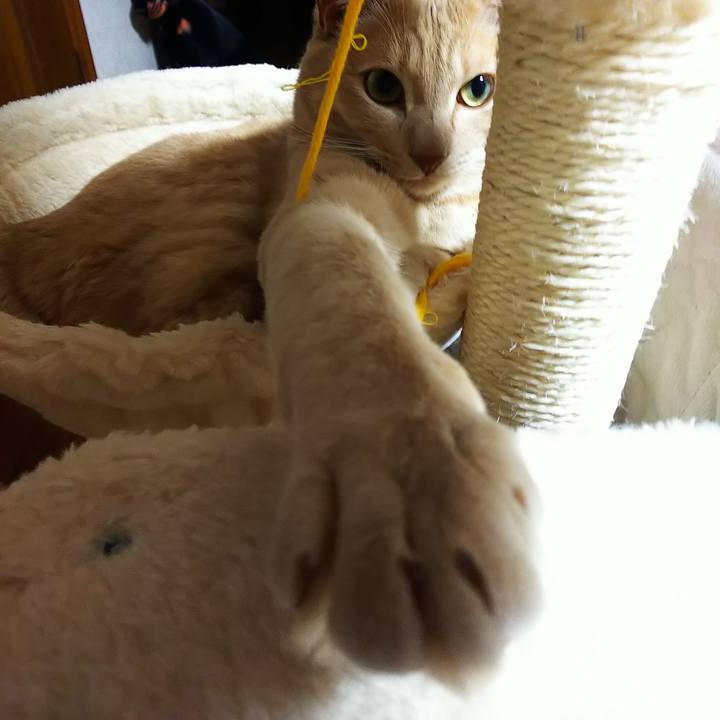 7684c8cb 928f 43e0 80d5 a07d52c6db11 1588763904764