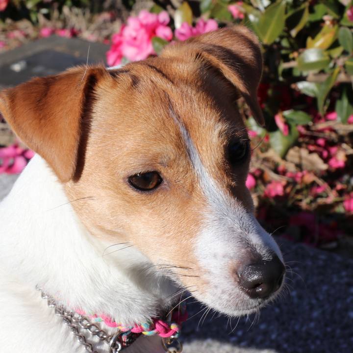 7684d384 bc21 45b7 8337 bfd41c78e3dc 1515033126816