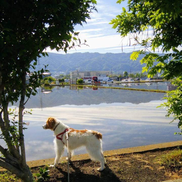 7684f5d1 59ba 4fb3 bc1a 32a4cf962ec1 1558483929536