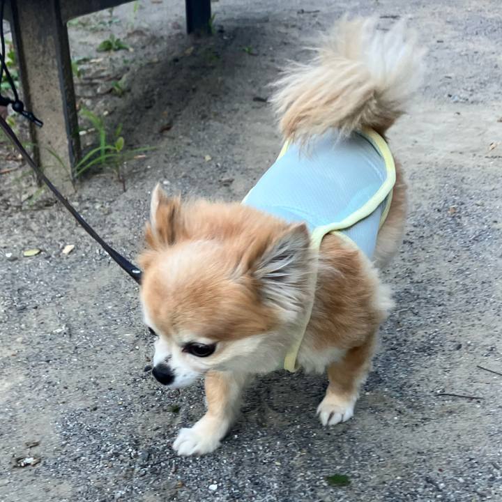 76850f73 a076 4952 bc4e 82579bd0fac1 1753841932520