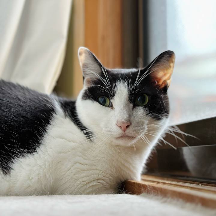 76851b94 c267 4eb7 980c 11ec9c713a88 1720055331236