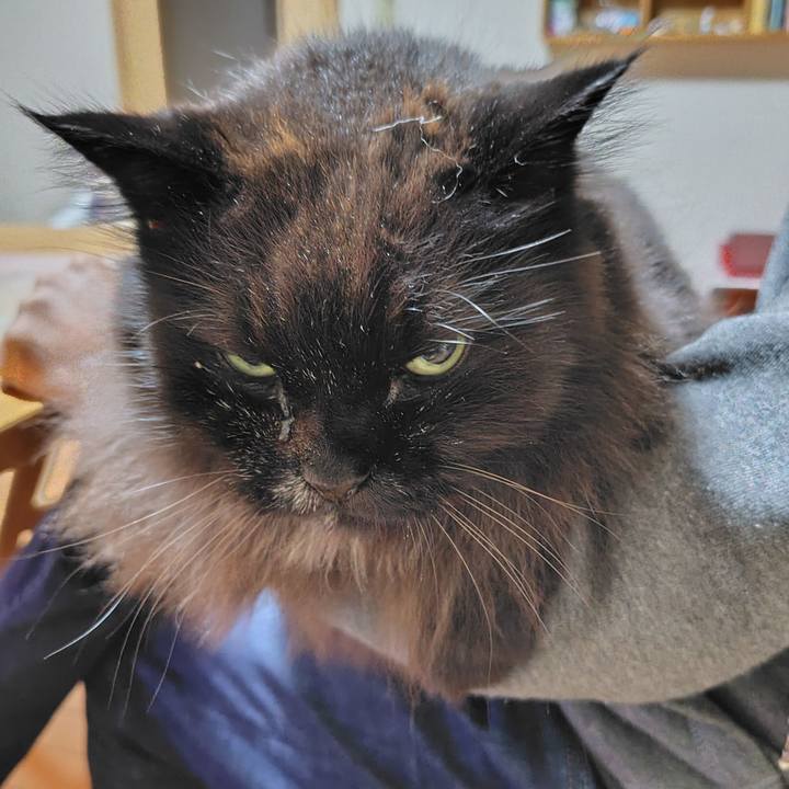 768540f2 32aa 4999 b1b7 ed63cdbcd717 1727257252726