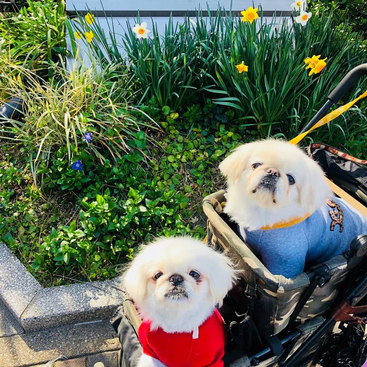 768557b8 8745 4bc5 9b14 8009203afca6 1616209500315