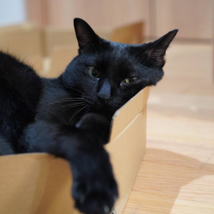 7685a839 80a4 4f92 ba00 a71fa1ba1830 1627741575137