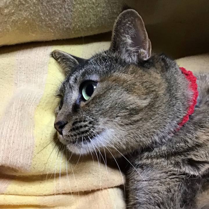 7685a8f8 1e13 408f a1ca fded22eaf57f 1671540469044