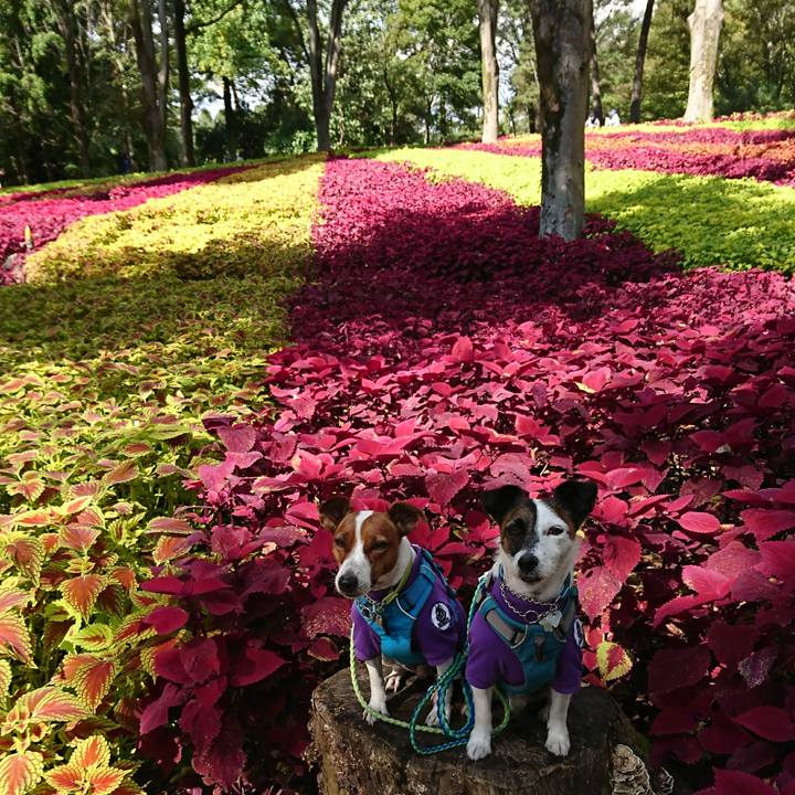 7685aa8f b4ff 43c8 a542 81e8d4efe292 1603251257903