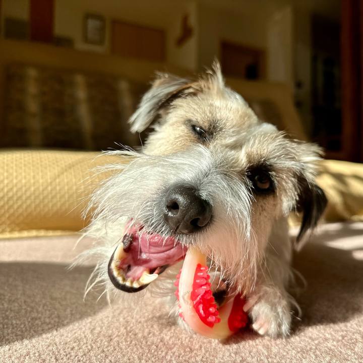 7685b354 919b 4561 9538 52894ce05f4a 1704021811979