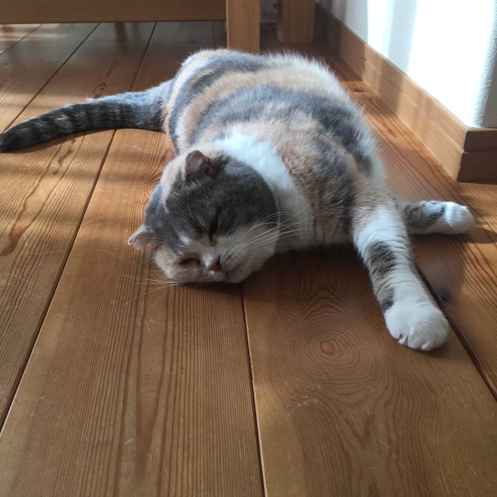 7685b921 e11c 4422 ae22 35cf76a635d2 1549408652590