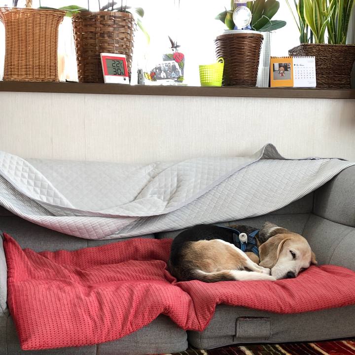 7685ee98 2dbd 4066 baf4 6a86049911dc 1614479547190