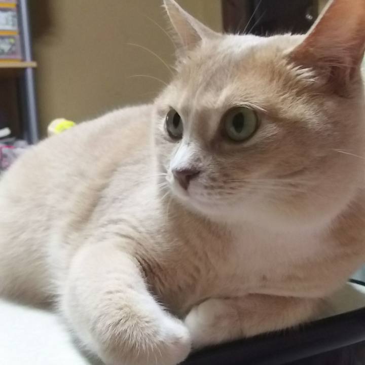 76861937 6540 4d2b a17a 0d226e72b98e 1528201632578