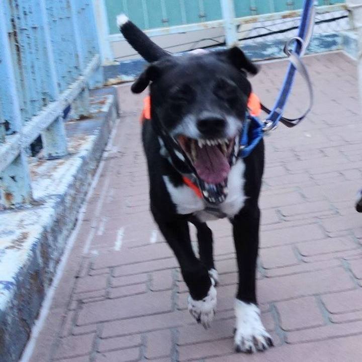 76861fde a892 41e2 9c83 e3fb096db234 1720696096360