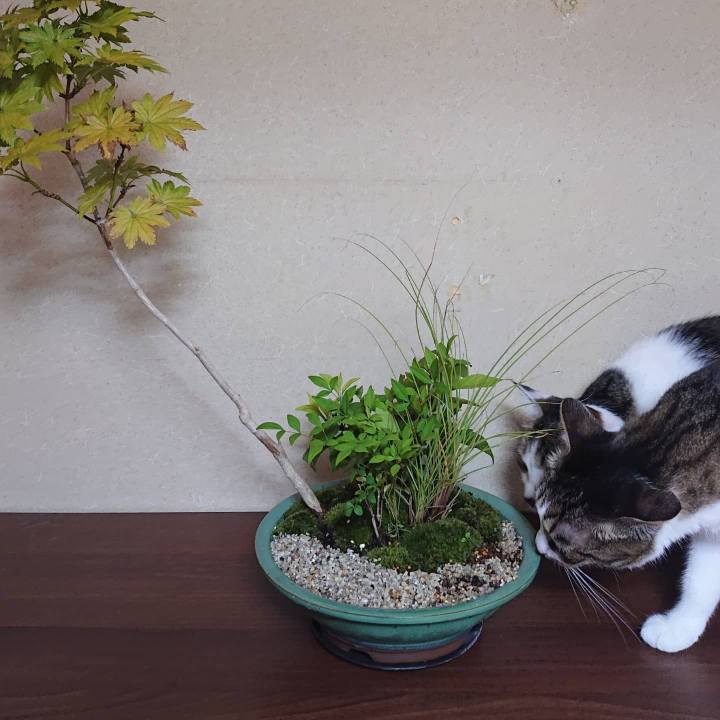 76862882 0649 424f 97c6 f28e54b74cf4 1627729286725