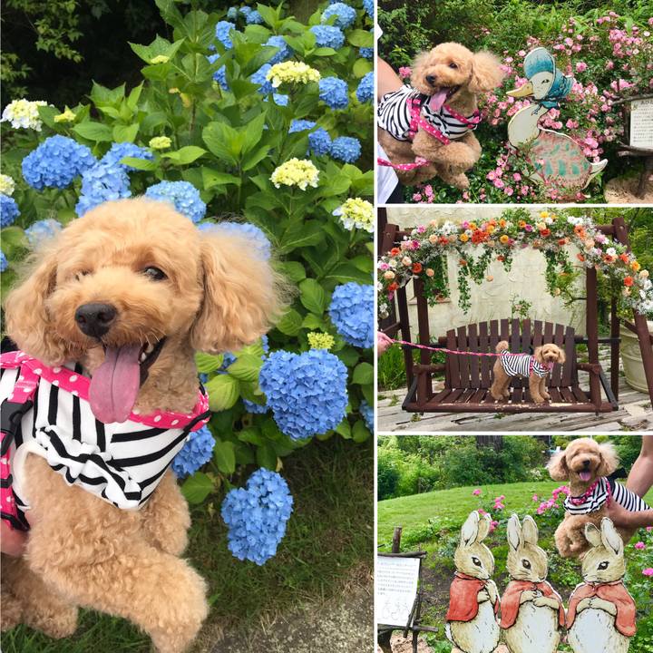 76862e35 a0e4 40ae a0d8 1ffabf7a095b 1562504738622