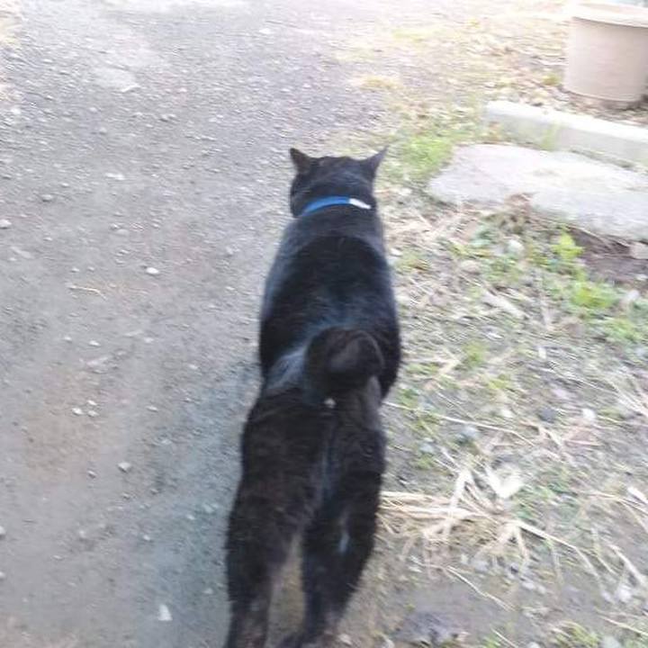 7686704c eda5 41f4 ac04 b7657fcbc071 1638528937007