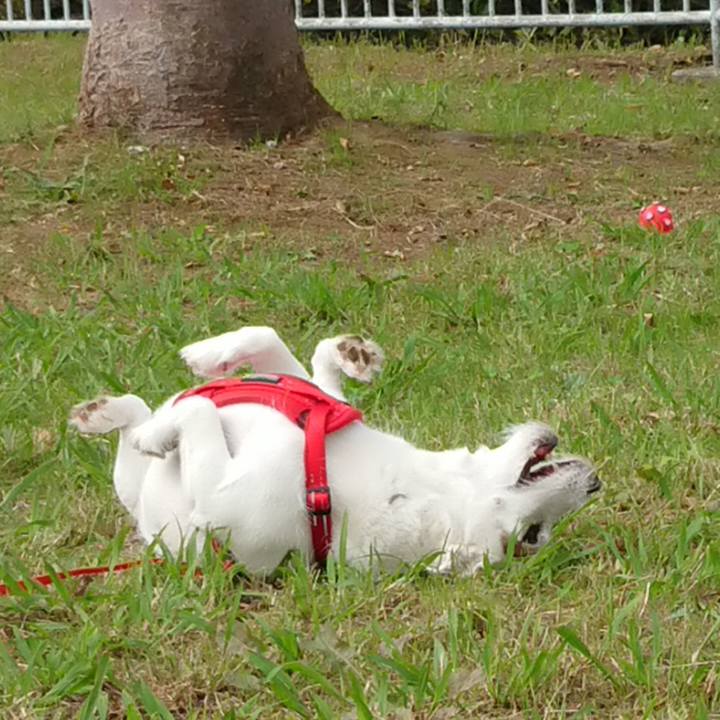 768718fe 800c 49f0 bf7c 75de5e10de3c 1539213104751