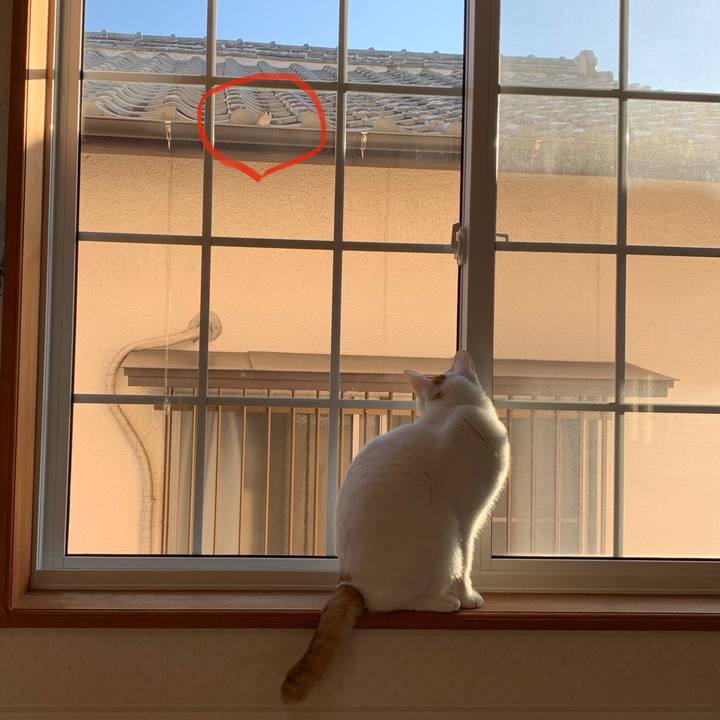 76872843 7a42 46e9 8c3c c7cae7a8d72c 1603584098227