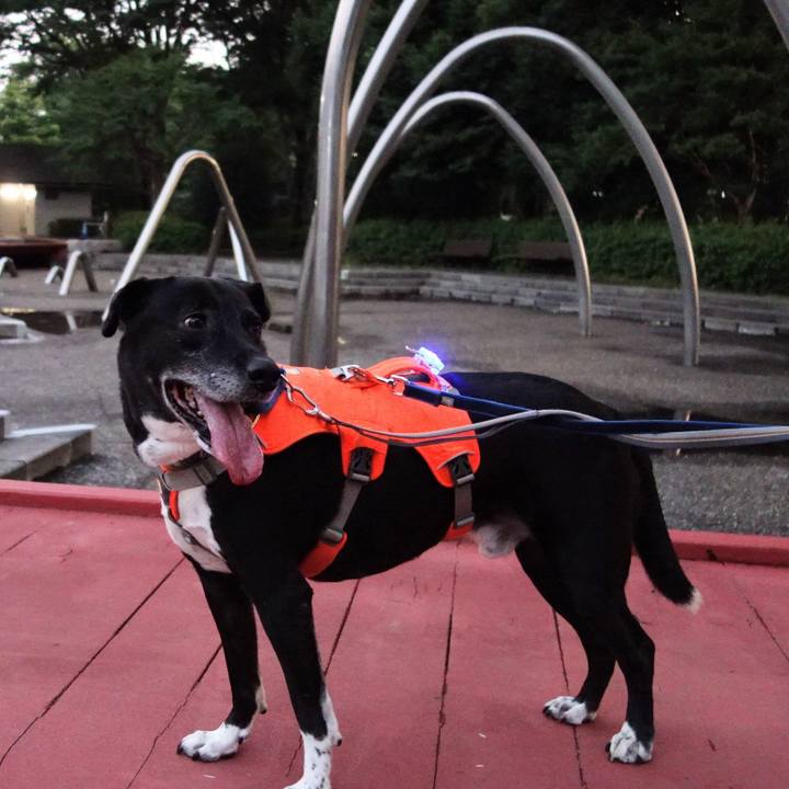 76875828 28e3 4fdf 9f97 8ab9ed46bd8c 1720091107467