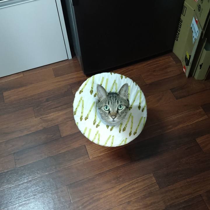 768787e0 3aef 41c1 923c fb49d920ee55 1725701562373