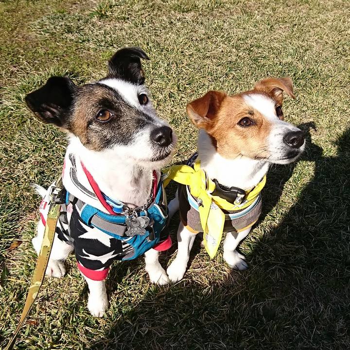 768793c9 8652 413a b7a8 60d356e442a4 1549077342436