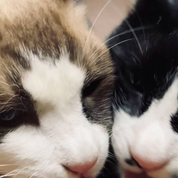 7687cb5d 191f 4a5d b219 c8a245e51d63 1729158198752