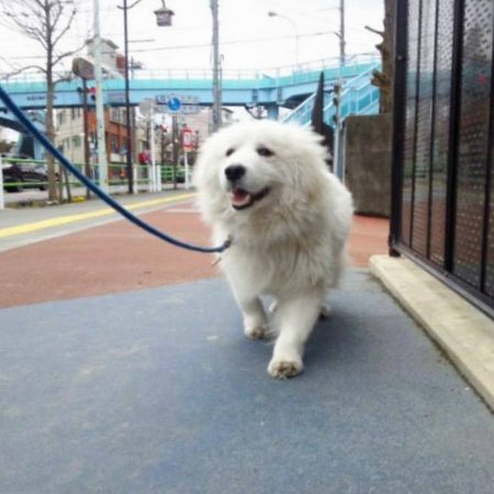 7687cef8 5613 4151 86e6 a872c1f7dcfd 1678233150732