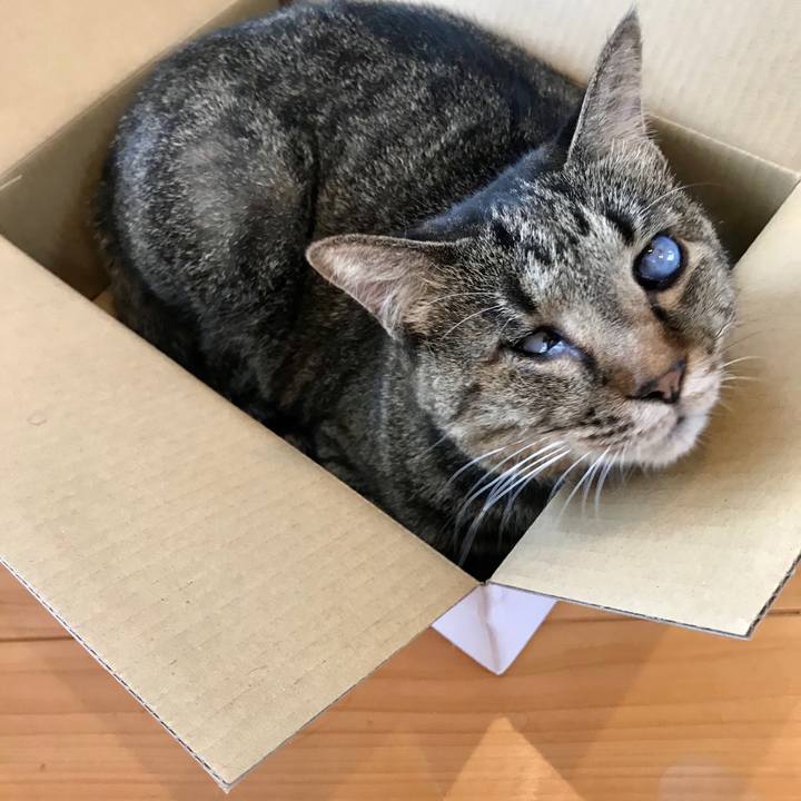 7687cf26 d0dc 4f5b b5c8 073a88fa2b3f 1599223276384