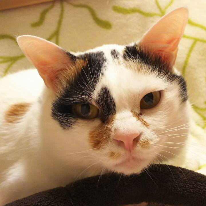 7687e2b4 b272 4217 a138 4e3e0b25fce7 1521120824652