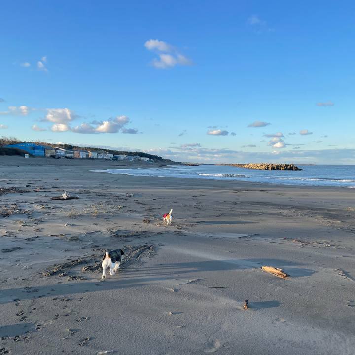 7687ea09 e267 4206 8e32 275c38f4b568 1732491825732